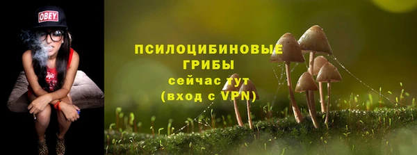 a pvp Аркадак