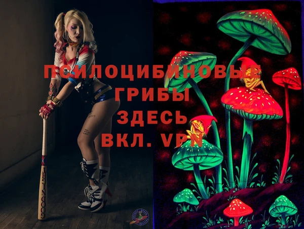 ГАЛЛЮЦИНОГЕННЫЕ ГРИБЫ Арсеньев