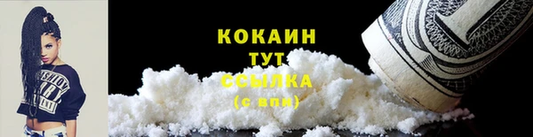 ГАЛЛЮЦИНОГЕННЫЕ ГРИБЫ Арсеньев