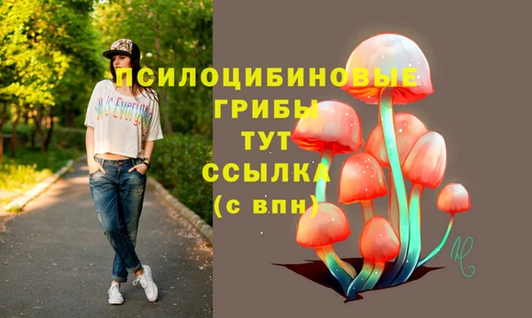 хмурый Армянск