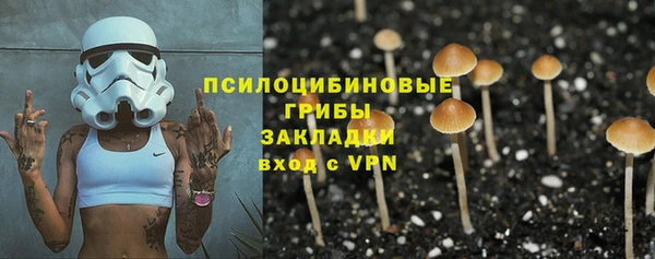эйфоретик Алексеевка