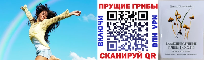 Псилоцибиновые грибы ЛСД  МЕГА как войти  Рошаль 